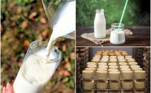 Naša tema: Zašto mljekari jedva sastavljaju kraj s krajem, a mlijeko na policama košta i do tri KM?