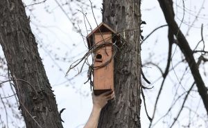 Lijepa gesta: Postavljena kućica za ptice na Dobrinji