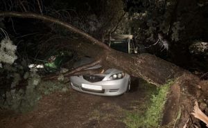 Jako olujno nevrijeme poharalo dijelove Hrvatske: Stabla se rušila na aute, blokirane saobraćajnice