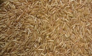 Zdravstvene prednosti smeđe riže: Pročitajte šta kažu stručnjaci