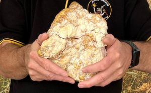 Australac pronašao zlatni grumen od 2,6 kilograma