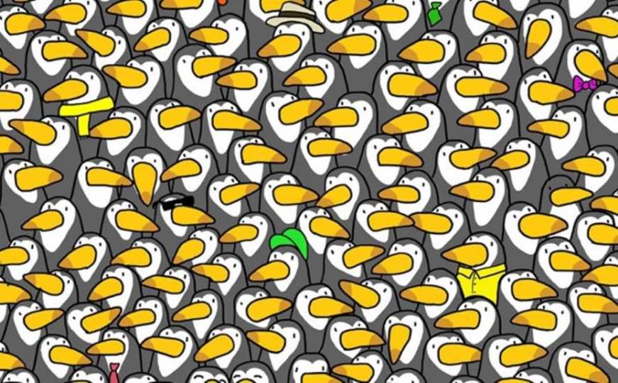 Jedna od najtežih mozgalica na društvenim mrežama: Gdje je pingvin među pticama?