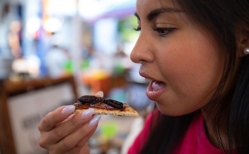 Meksički festival na kojem se jedu samo insekti: Na meniju crvi, žohari, mravi...