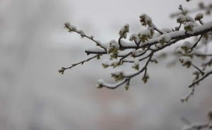 Snijeg u aprilu: Bijeli pokrivač se vratio u Sarajevo