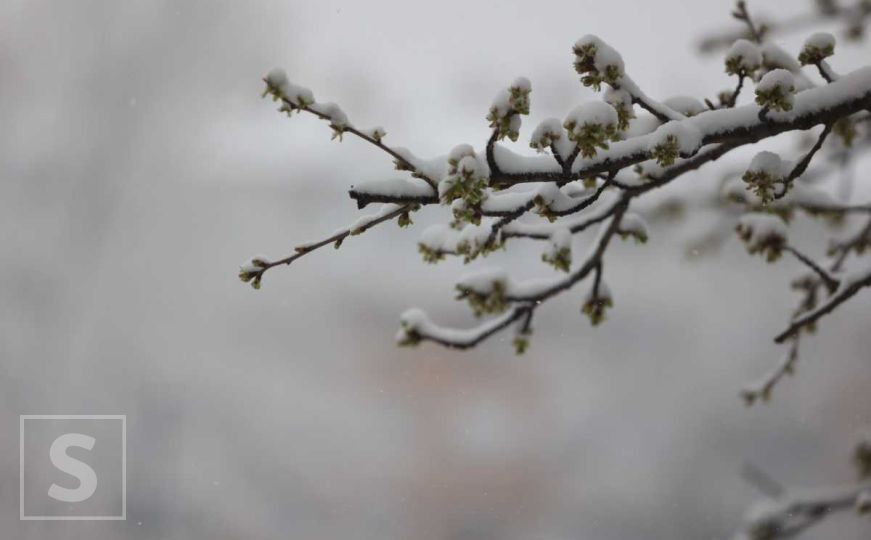 Poznati meteorolog objasnio zašto pada snijeg u aprilu: "U prirodi postoji zakonitost"