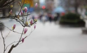 Stiže kratkotrajna promjena vremena i temperature do 17 stepeni: Objavljena prognoza do nedjelje