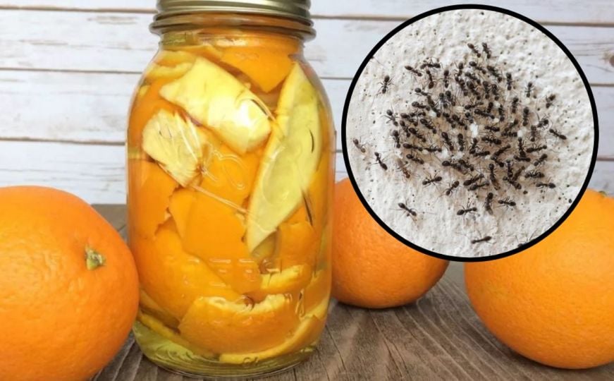 Prirodna smjesa tjera mrave, a odlična je za čišćenje: Pomiješajte koru narandže s ovim sastojkom