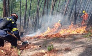 Veliki požari u Hondurasu spalili 33.000 hektara šume