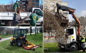 Pitali smo: Znate li gdje završi polomljeno drveće i grane iz Sarajeva i šta se s njime radi?