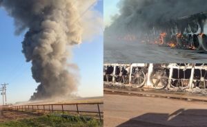 Uznemirujući prizori iz Teksasa: U požaru nakon eksplozije uginulo 18 hiljada krava