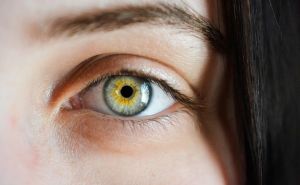Znate li šta su 'očne mušice'? Ako ste nekad vidjeli sitne oblike pred očima, evo zašto se to desilo