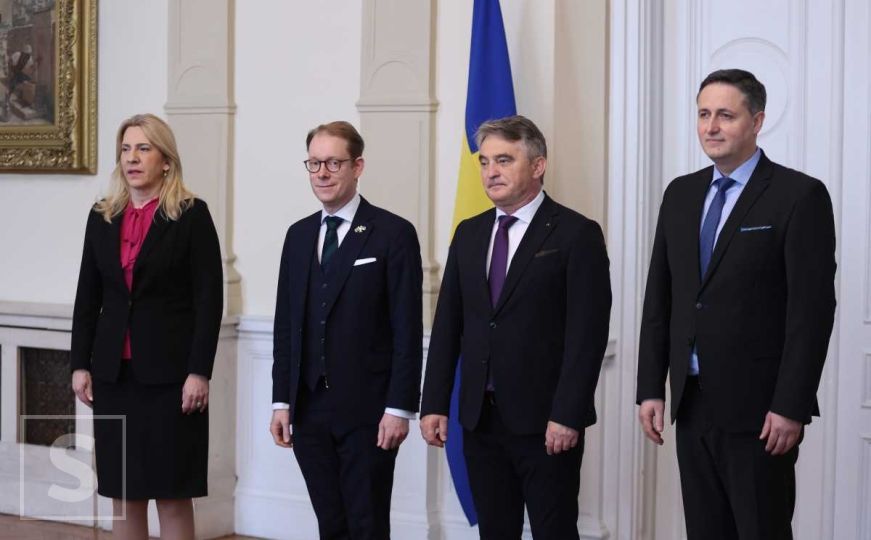 Ministar vanjskih poslova Švedske Tobias Billstrom stigao u Predsjedništvo Bosne i Hercegovine