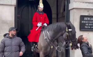 Drama ispred Buckinghamske palače: Konj počupao ženu za kosu