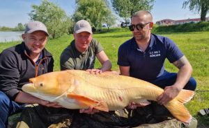 Značajan trofej: Ribar ulovio 'zvijer' na jezeru Ciglana u Orašju