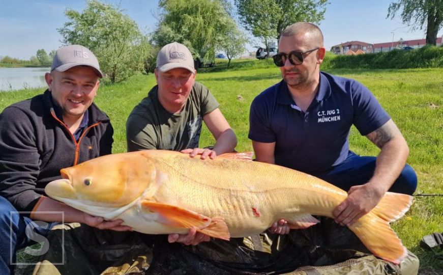 Značajan trofej: Ribar ulovio 'zvijer' na jezeru Ciglana u Orašju
