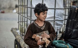 Emotivne scene: Dvanaestogodišnji Hasan skuplja sirovinu da pomogne porodici u Palestini