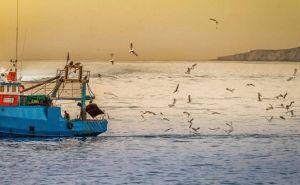 U toku velika potraga: Na Jadranu nestali ribari koji su krenuli u izlov ajkula