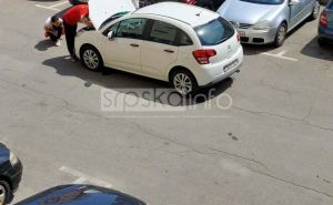 Drama u BiH: Zmija ušla djevojkama u automobil