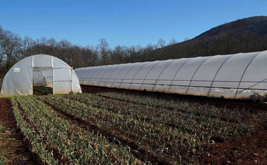 Stručnjak upozorava: 'Vremenski uslovi ne idu na ruku poljoprivrednim proizvođačima'