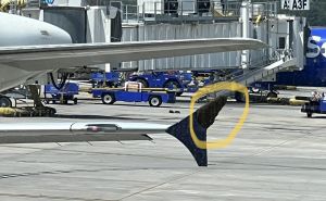 Putnici u šoku gledali šta se događa: Avion nije mogao poletjeti - pogledajte šta je bilo na krilu