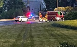 Dječak u SAD pogodio otmičara praćkom i spasio mlađu sestru