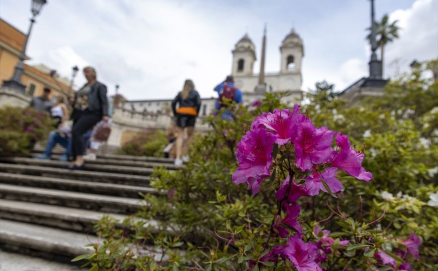 Popularno turističko mjesto u Rimu: Čuvene Španske stepenice ukrašene ružičastim azalejama