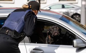 Slučaj u SAD: Pijani Amerikanac pokušao okriviti za brzu vožnju - svoga psa