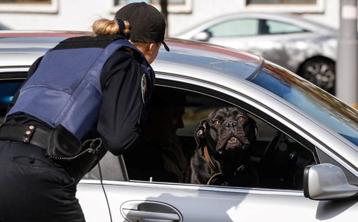 Slučaj u SAD: Pijani Amerikanac pokušao okriviti za brzu vožnju - svoga psa