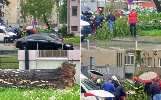 Nevrijeme pogodilo i Tuzlu: Drvo palo na ženu, teško je povrijeđena