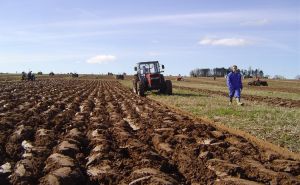 Problemi za poljoprivrednike: Loši usjevi zbog velike količine padavina