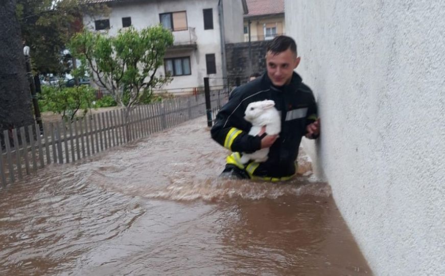 Ugrijao srca ljudi širom Balkana: Vatrogasac spasio zeku iz poplava