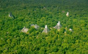 Džungla skrivala tajnu: Otkriveni novi detalji o drevnoj civilizaciji