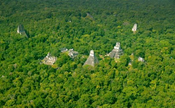 Džungla skrivala tajnu: Otkriveni novi detalji o drevnoj civilizaciji