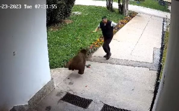 Objavljen video: Medvjed napao zaštitara, on se jedva odbranio