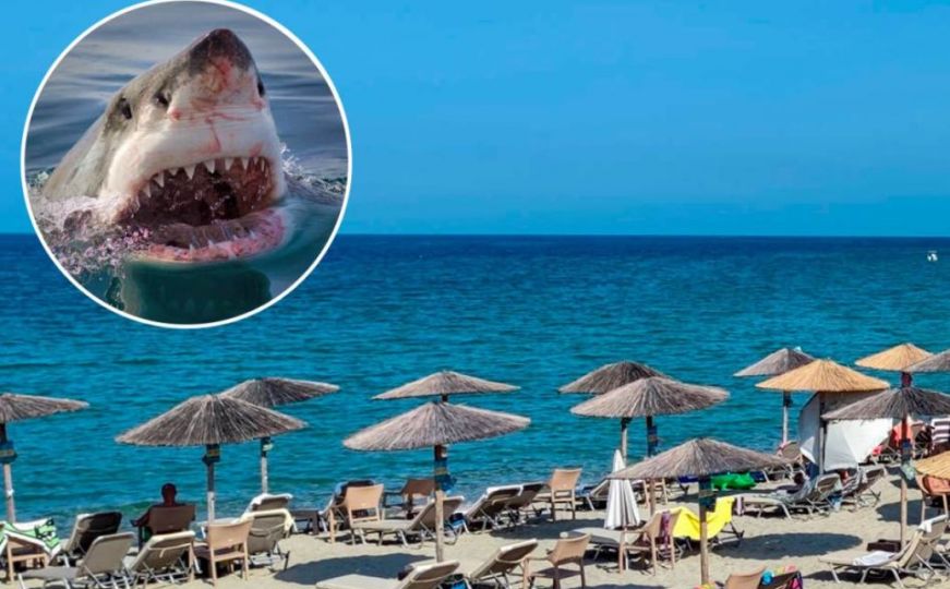 Horor na Karibima: Amerikanku (22) napao morski pas, odgrizao joj nogu