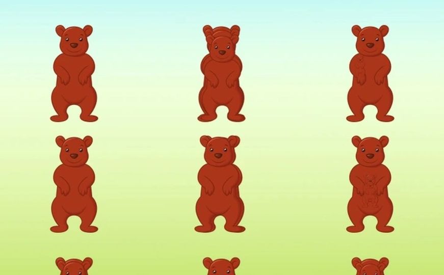 Da vas vidimo: Koliko medvjedića vidite na slici?