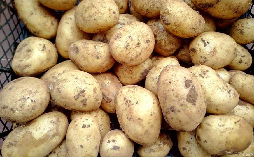 Inspekcija zabranila uvoz 22.000 kg krompira u Bosnu i Hercegovinu: Otkrili pesticid "imazalil"