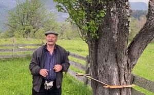 Misteriozno stablo šljive u BiH izazvalo raspravu na Balkanu: "Ne zna se ni šta je ni ko je posadio"