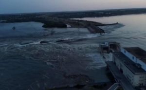 Rezultat uništenja brane: Pogledajte pomor ribe u Hersonu