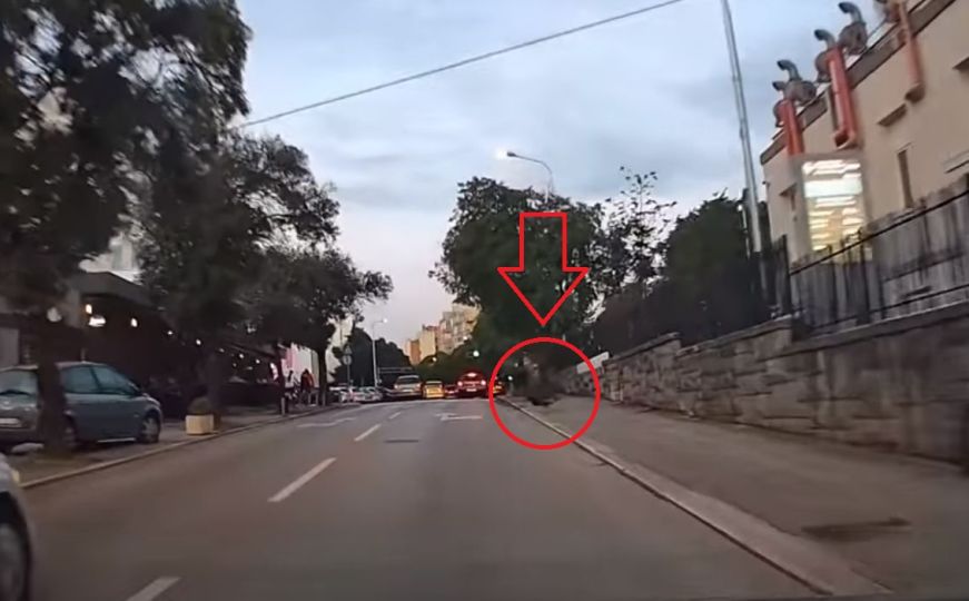 Vozače u Splitu šokirao neuobičajen gost na cesti. Umalo je završilo tragično