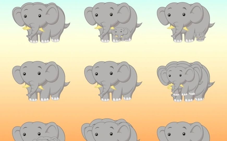 Zadatak koji je zbunio mnoge: Koliko je slonova na ovoj ilustraciji?