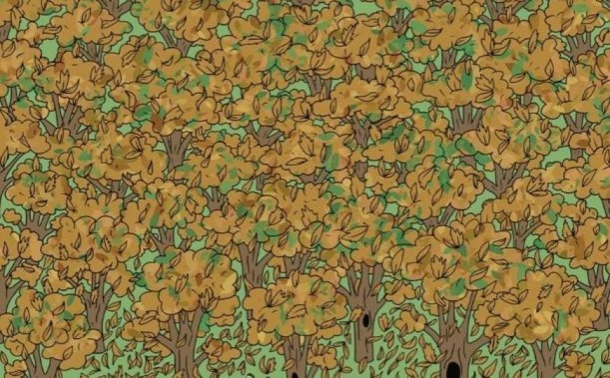Imate manje od 40 sekundi: Možete li pronaći vjevericu na fotografiji?