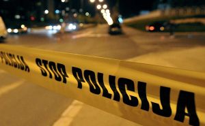 Horor u Bosni: Čovjek namamio psa do automobila pa mu pucao u glavu