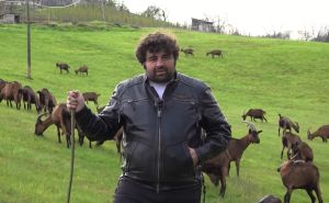 Fufe iz serije 'Lud, zbunjen, normalan' živi na selu sa 1.800 koza