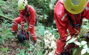 Uspješna akcija GSS-ovaca: Labradorica Azra upala u sedam metara duboku jamu, izvučena je na sigurno