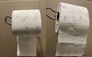 Riješena dilema: Evo kako se pravilno na držač postavlja rolna toalet papira