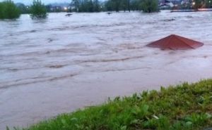 Tragično okončana potraga: Sarajka pronađena u rijeci Bosni, poznat je i uzrok smrti