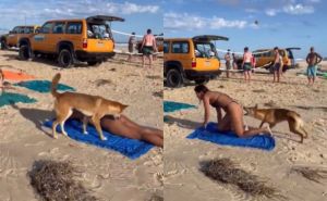 Panika na plaži: Nezainteresirano je prolazio između kupača, a onda je u sekundi uradio ovo!