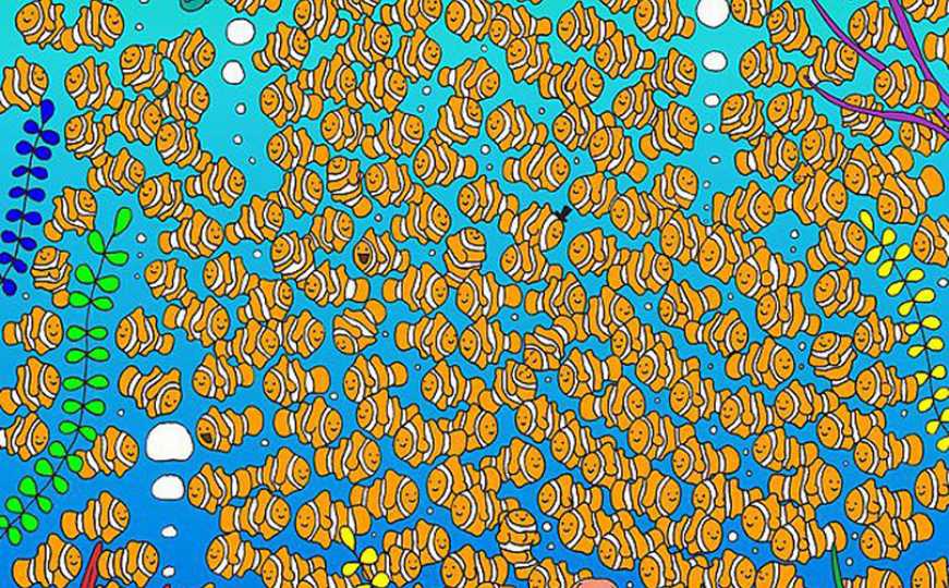 Ljetna mozgalica: Možete li pronaći zlatnu ribicu?
