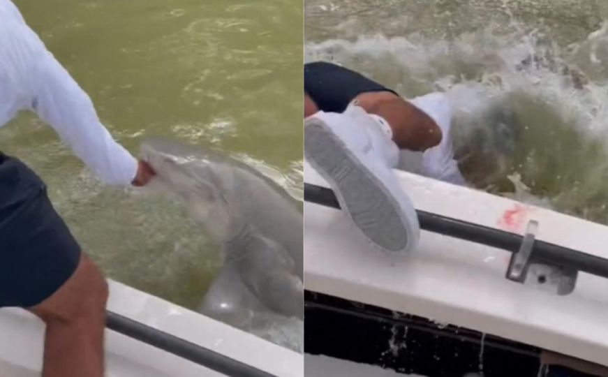 Objavljen zastrašujući VIDEO: Ajkula napala ribara i povukla ga u vodu